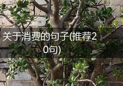 关于消费的句子(推荐20句)