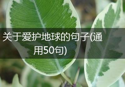 关于爱护地球的句子(通用50句)