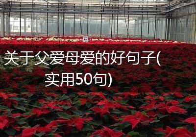 关于父爱母爱的好句子(实用50句)