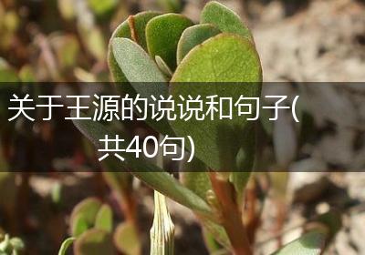 关于王源的说说和句子(共40句)