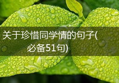 关于珍惜同学情的句子(必备51句)