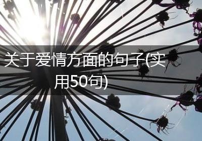 关于爱情方面的句子(实用50句)