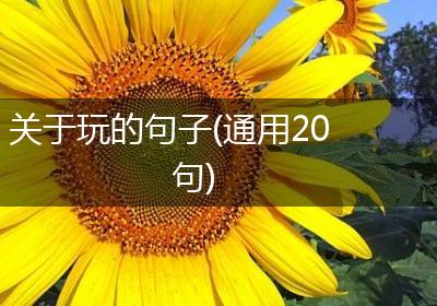 关于玩的句子(通用20句)