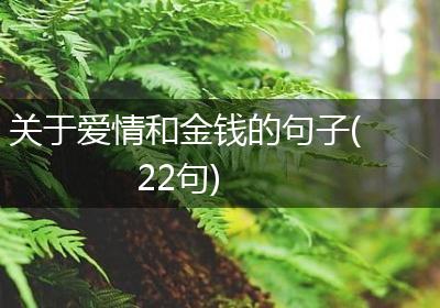 关于爱情和金钱的句子(22句)