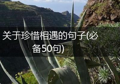 关于珍惜相遇的句子(必备50句)