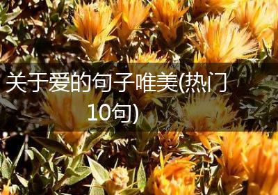 关于爱的句子唯美(热门10句)