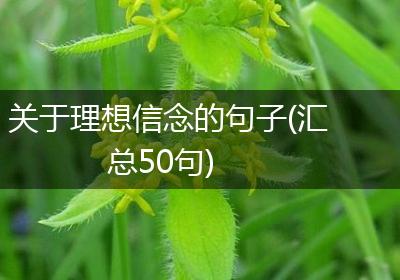关于理想信念的句子(汇总50句)