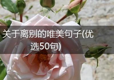 关于离别的唯美句子(优选50句)