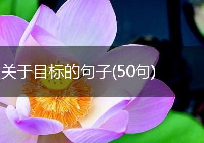 关于目标的句子(50句)