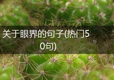 关于眼界的句子(热门50句)
