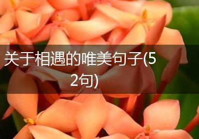 关于相遇的唯美句子(52句)