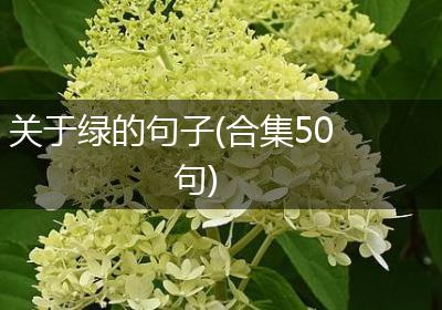 关于绿的句子(合集50句)