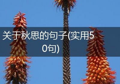 关于秋思的句子(实用50句)