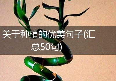 关于种植的优美句子(汇总50句)