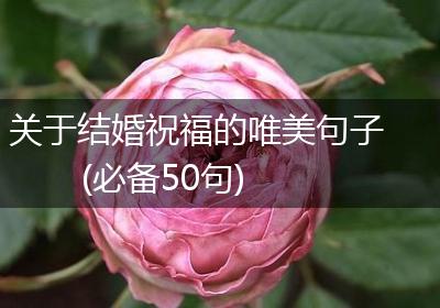 关于结婚祝福的唯美句子(必备50句)