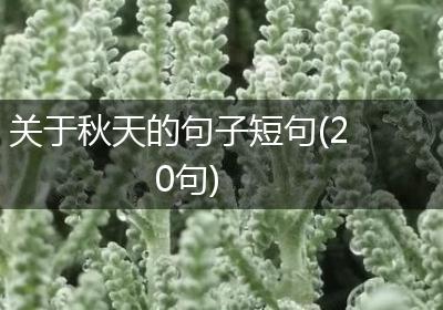 关于秋天的句子短句(20句)