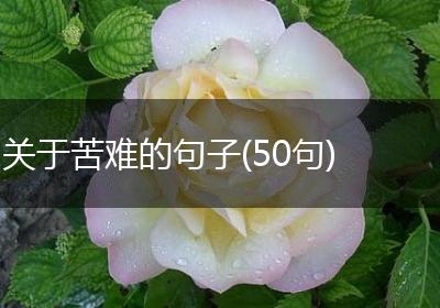 关于苦难的句子(50句)