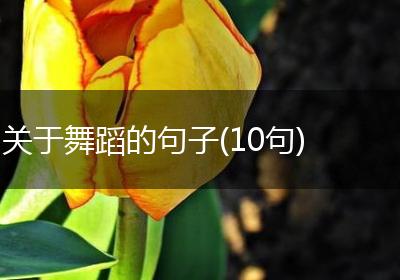 关于舞蹈的句子(10句)