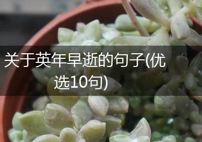 关于英年早逝的句子(优选10句)
