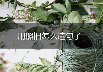 用照旧怎么造句子