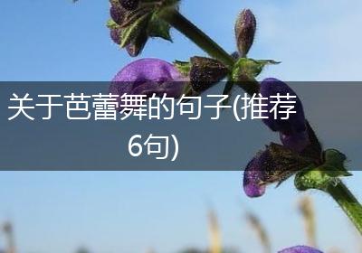 关于芭蕾舞的句子(推荐6句)