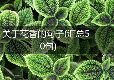 关于花香的句子(汇总50句)