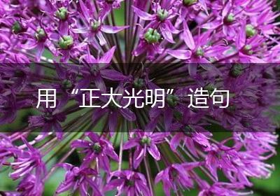 用“正大光明”造句