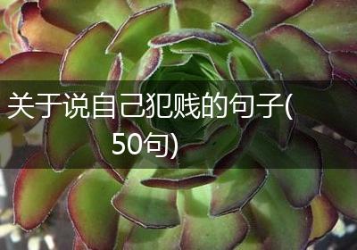 关于说自己犯贱的句子(50句)