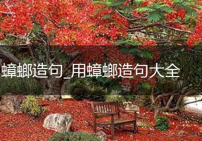 蟑螂造句_用蟑螂造句大全