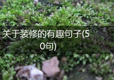 关于装修的有趣句子(50句)