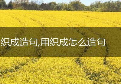 织成造句,用织成怎么造句