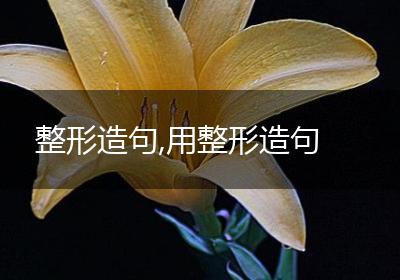 整形造句,用整形造句