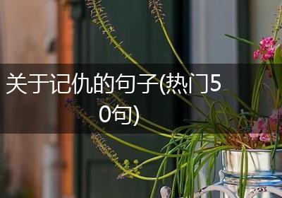 关于记仇的句子(热门50句)