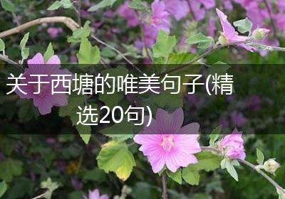 关于西塘的唯美句子(精选20句)