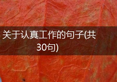 关于认真工作的句子(共30句)