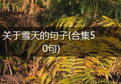 关于雪天的句子(合集50句)