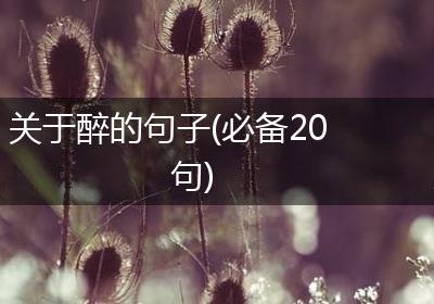 关于醉的句子(必备20句)