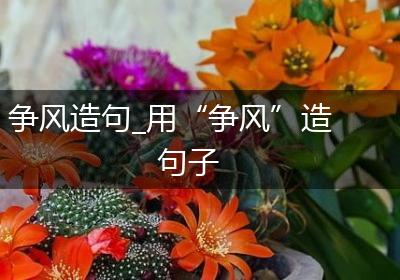 争风造句_用“争风”造句子