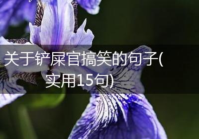 关于铲屎官搞笑的句子(实用15句)