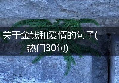 关于金钱和爱情的句子(热门30句)