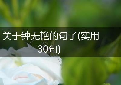 关于钟无艳的句子(实用30句)