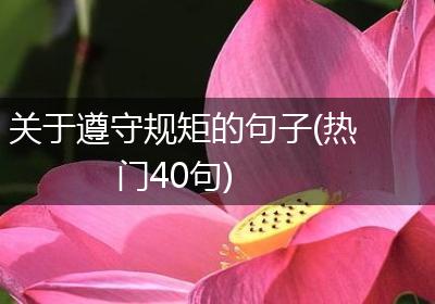关于遵守规矩的句子(热门40句)