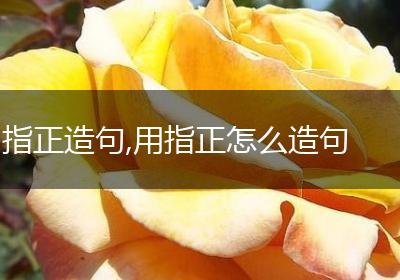 指正造句,用指正怎么造句