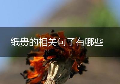 纸贵的相关句子有哪些