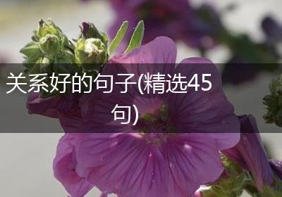 关系好的句子(精选45句)