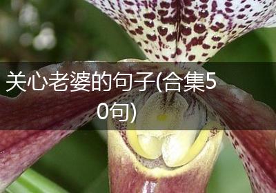 关心老婆的句子(合集50句)
