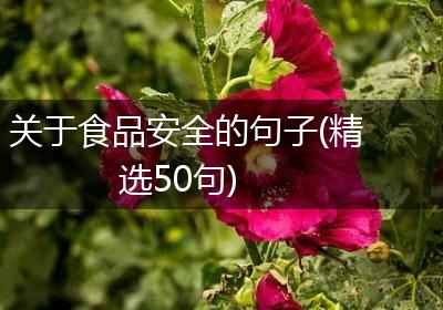 关于食品安全的句子(精选50句)
