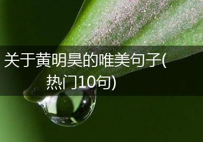 关于黄明昊的唯美句子(热门10句)