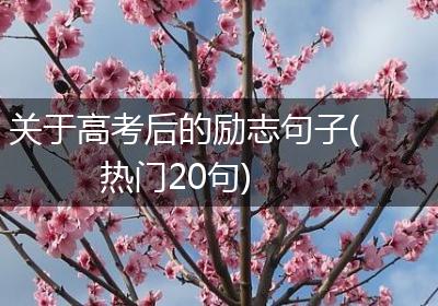 关于高考后的励志句子(热门20句)