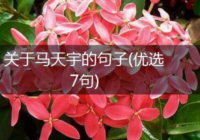关于马天宇的句子(优选7句)